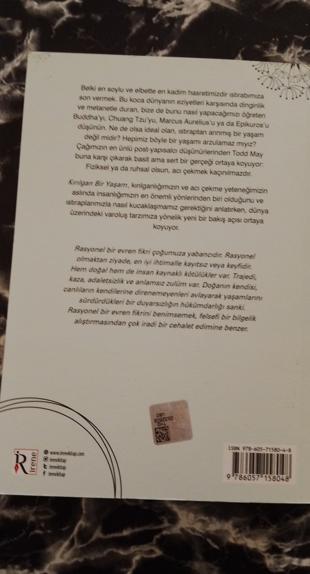 Kırılgan Bir Yaşam - Todd May - Görsel 2