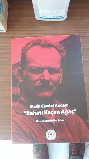 Melih cevdet anday: rahatı kaçan ağaç 