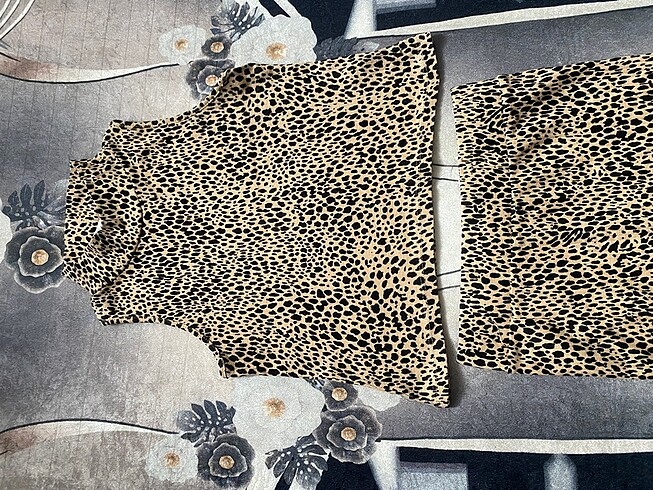 Zara Leopar takım