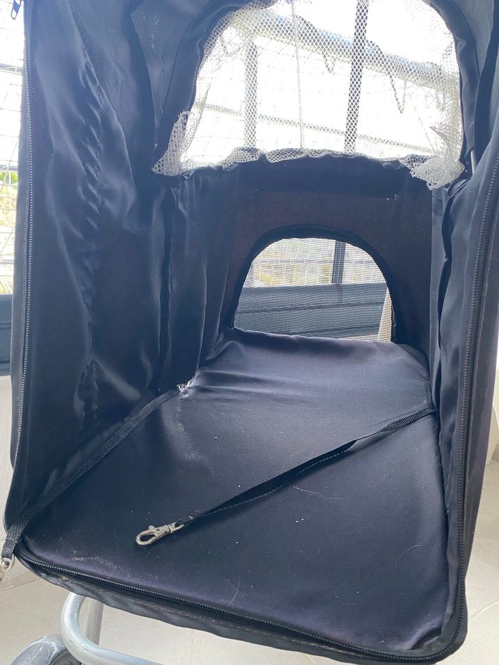 Siyah Köpek -Kedi Arabası Friends on TourYazılı - Görsel 4