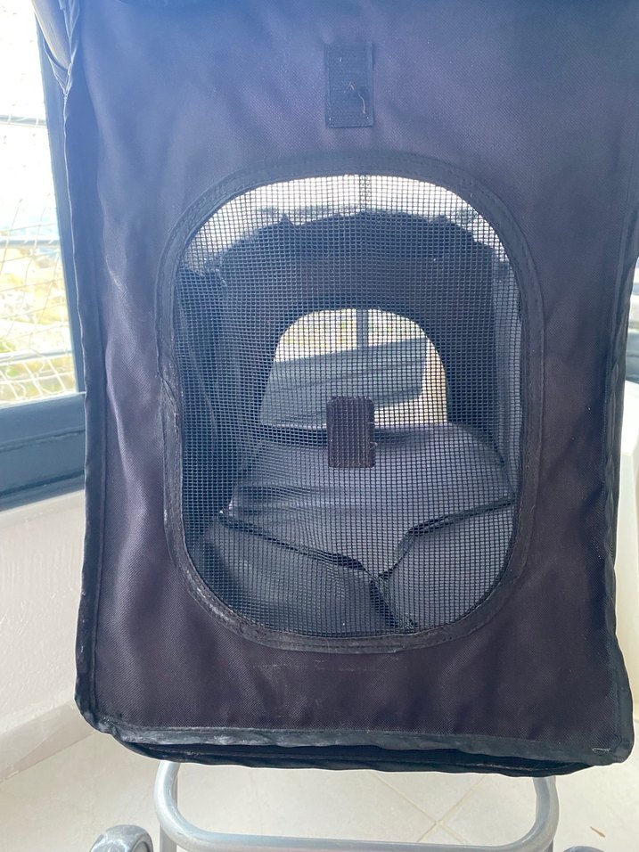 Siyah Köpek -Kedi Arabası Friends on TourYazılı - Görsel 3