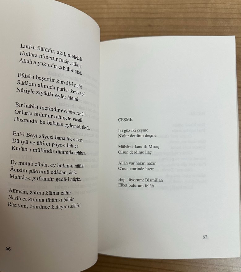 Şehnaz Öztürk - Bir Ömür Kitabı - Görsel 3