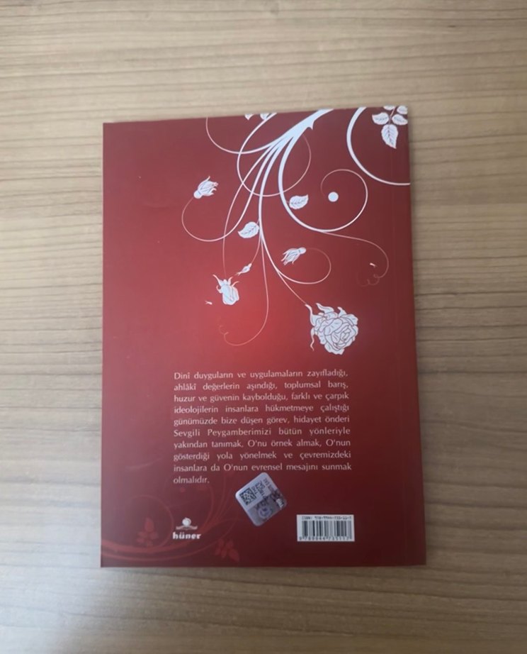 Efendimiz - Prof. Dr. Ahmet Önkal Kitabı - Görsel 2