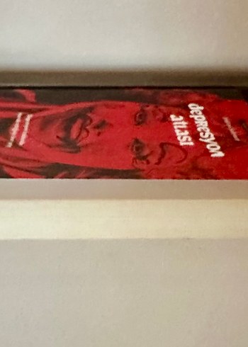 Depresyon Atlası - Andrew Solomon - Görsel 6