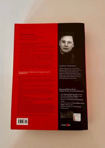 Depresyon Atlası - Andrew Solomon - Görsel 2