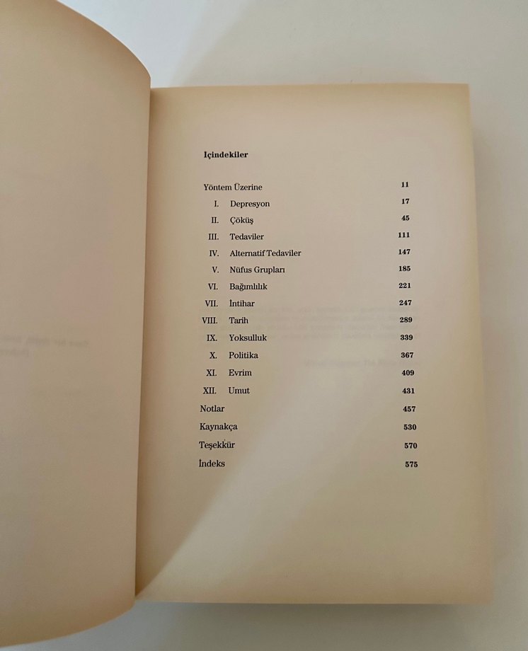 Depresyon Atlası - Andrew Solomon - Görsel 3