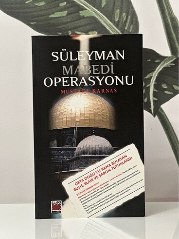 Süleyman Mabedi Operasyonu