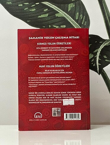 Şamanik Yolun Çalışma Kitabı