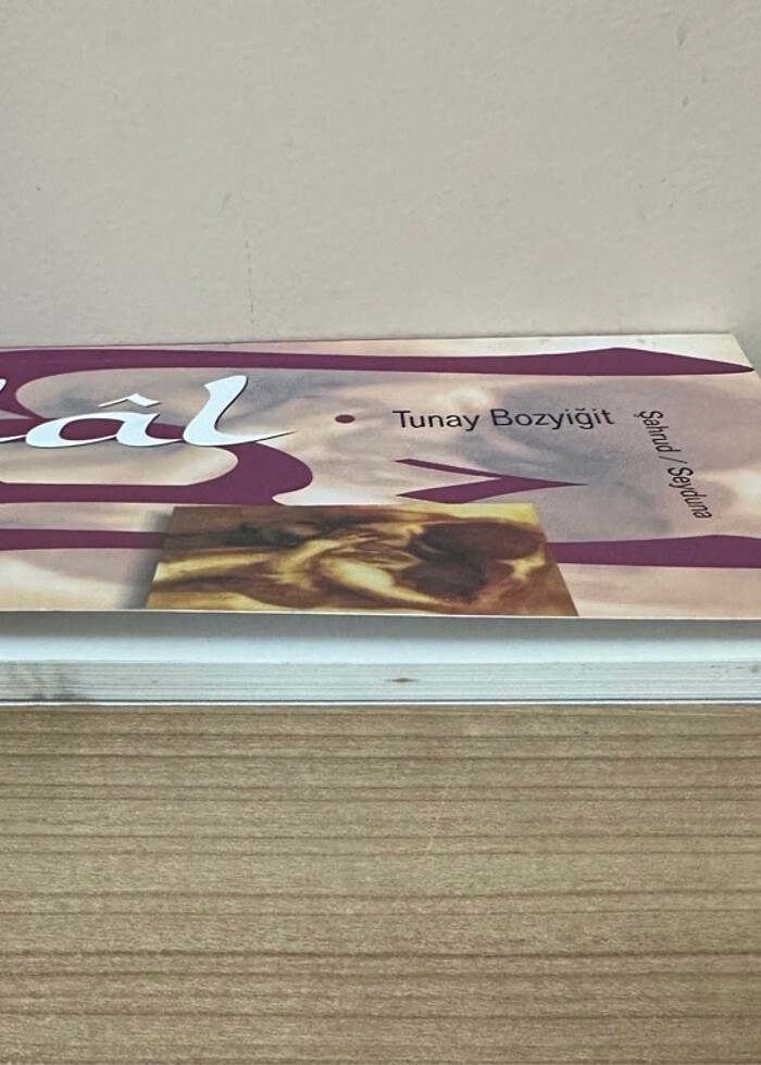 Lal Şahrud Seyduna - Görsel 5