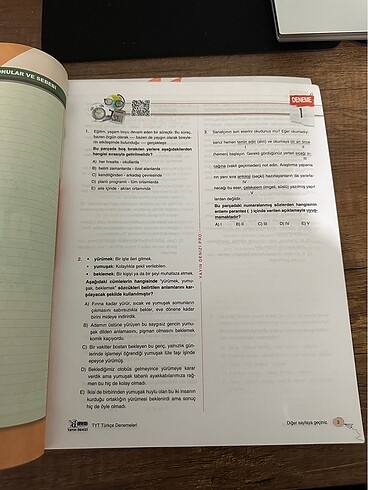 Beden Renk Tyt türkçe deneme