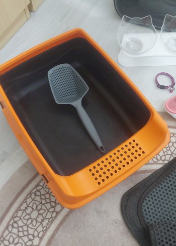 Beden Renk Kedi Malzemeleri Set