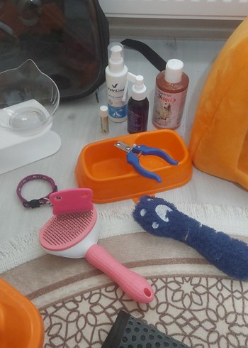 Kedi Malzemeleri Set