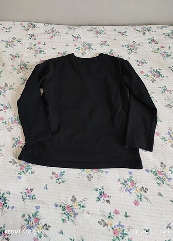 Sezonluk Swiftşört  - Görsel 3