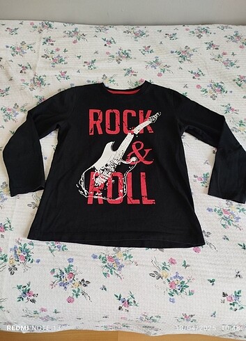 Sezonluk Swiftşört  - Görsel 2