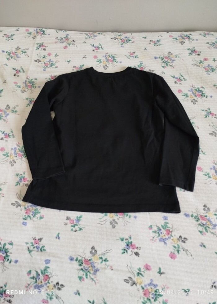 Sezonluk Swiftşört  - Görsel 3