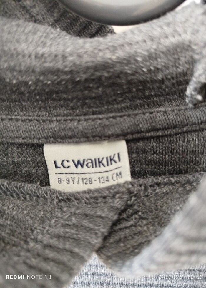 Sezonluk Swiftşört - Görsel 3