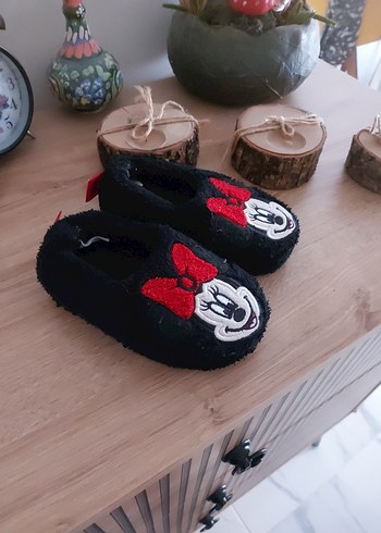 Walt Disney World 22