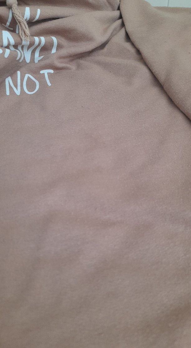 Bej Kapüşonlu Baskılı Kadın Sweatshirt - Görsel 3