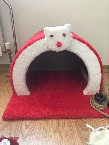 Kedi evi