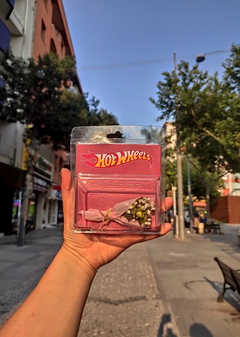 hot flowers hot wheels çiçek