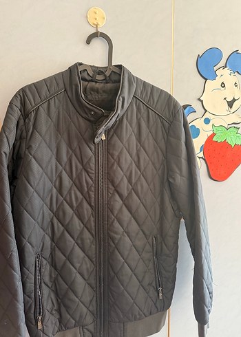 Erkek Gri Kapitone Fermuarlı Ceket - Görsel 2