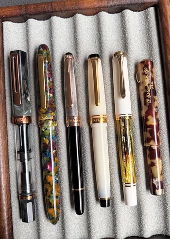 Esterbrook estie botanical garden M dolma kalem - Görsel 9