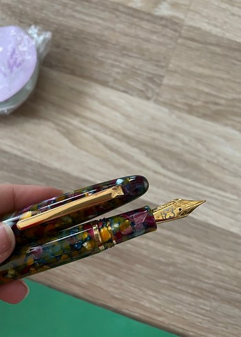 Esterbrook estie botanical garden M dolma kalem - Görsel 5