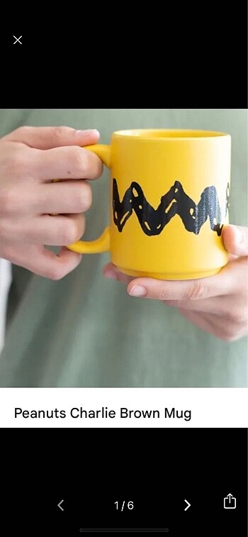 Peanuts snoopy charlie brown mug kupa