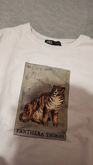 Beyaz zara t-shirt 