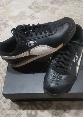 Puma 38