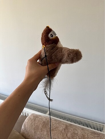 Kedi oyuncağı hareket eden kuş