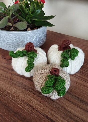 Şans kabakları  - Görsel 2