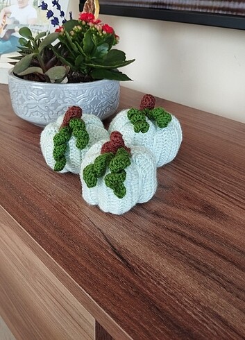 Şans kabakları  - Görsel 3