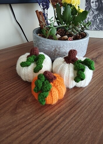 Şans kabakları  - Görsel 4