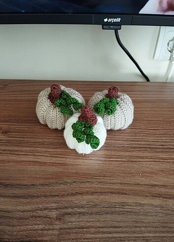 Şans kabakları  - Görsel 10