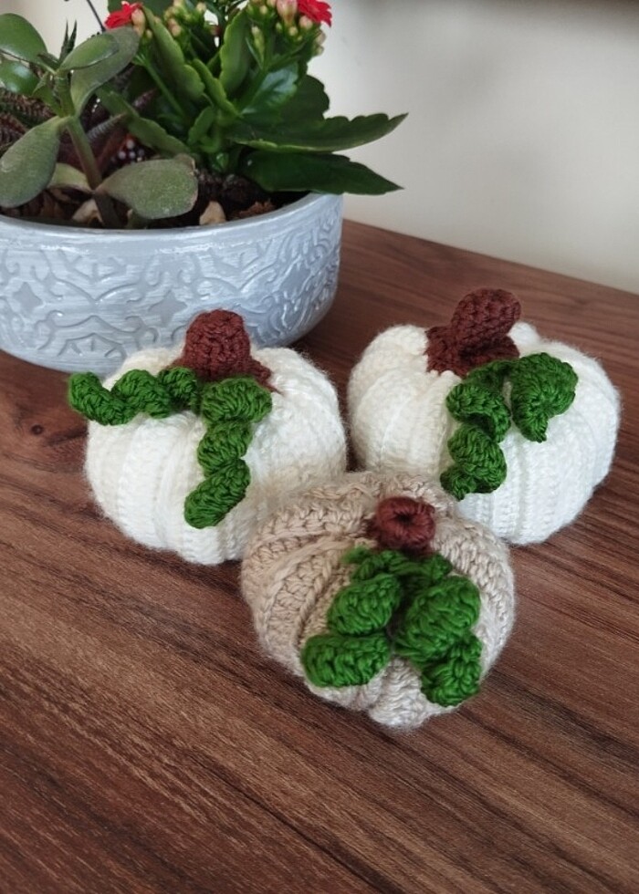 Şans kabakları  - Görsel 2