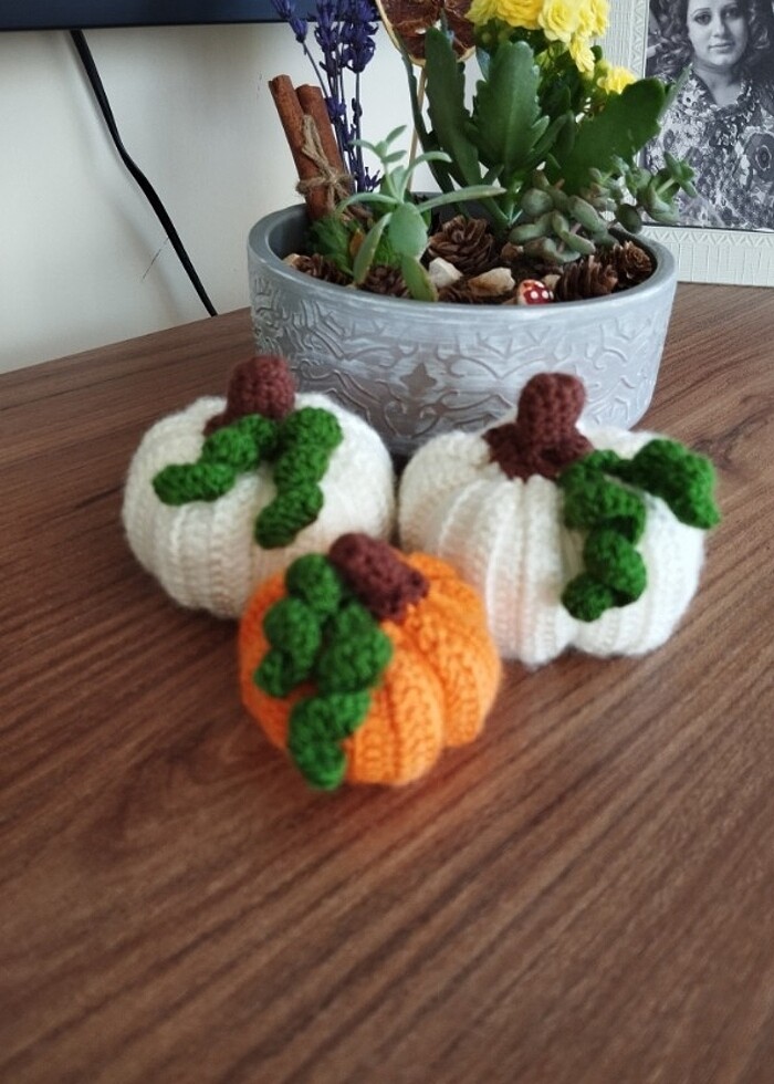 Şans kabakları  - Görsel 4