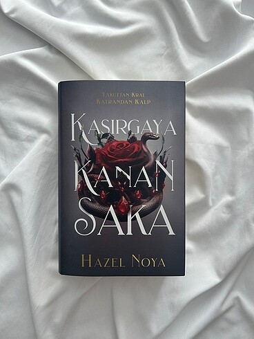 Kasırgaya kanan saka