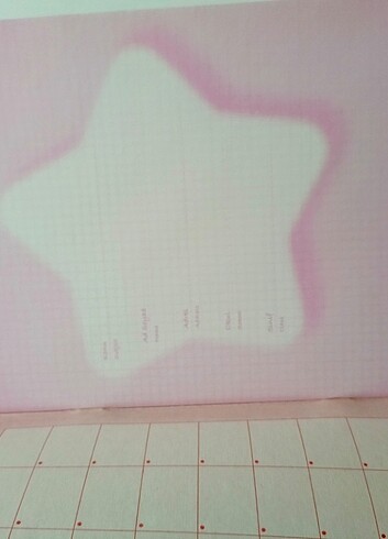 Winx'li defter