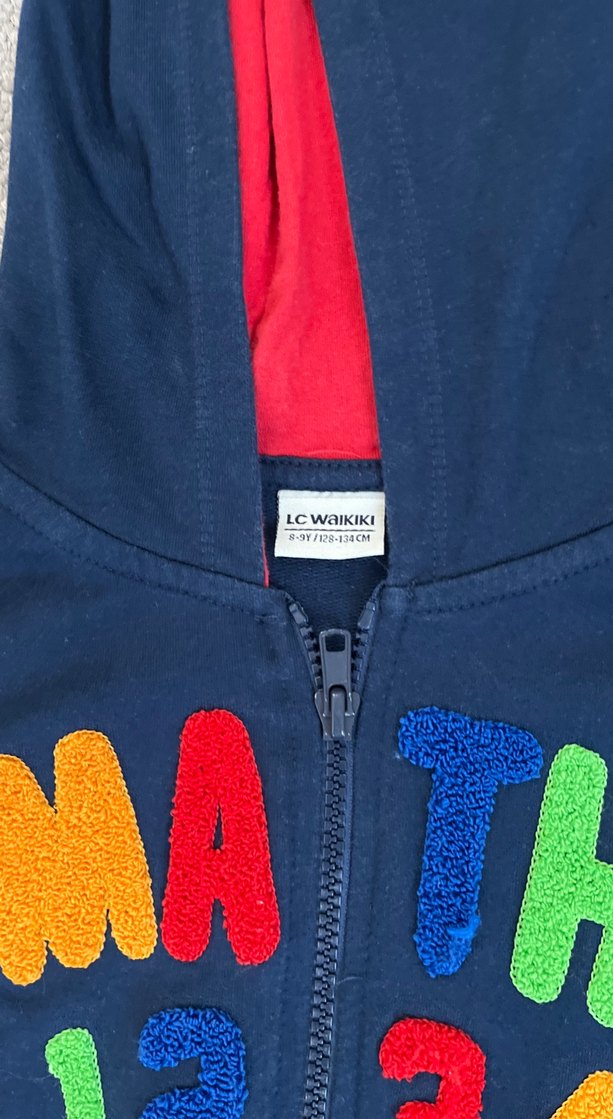 Kapüşonlu Fermuarlı Erkek Çocuk Sweatshirt - Görsel 3