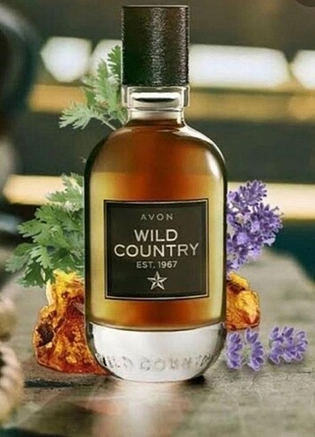 Wilde country erkek parfümü 