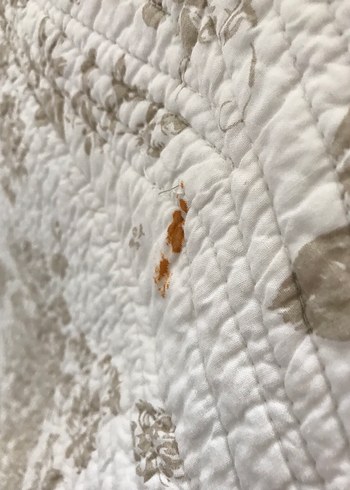 Yatak örtüsü - Görsel 3