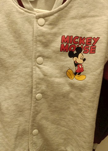 Bordo Gri Mickey Mouse Düğmeli Erkek Hırka - Görsel 3