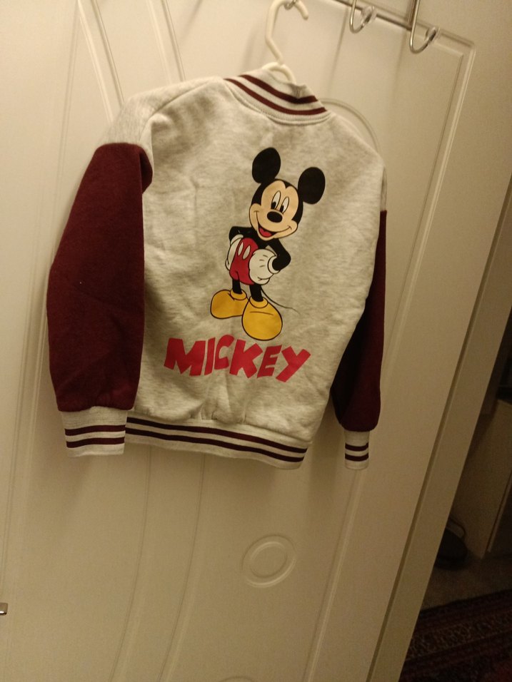 Bordo Gri Mickey Mouse Düğmeli Erkek Hırka - Görsel 5