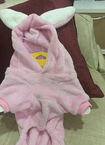 1,Köpek kıyafeti küçük ırk 