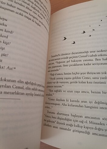  Beden Kitap