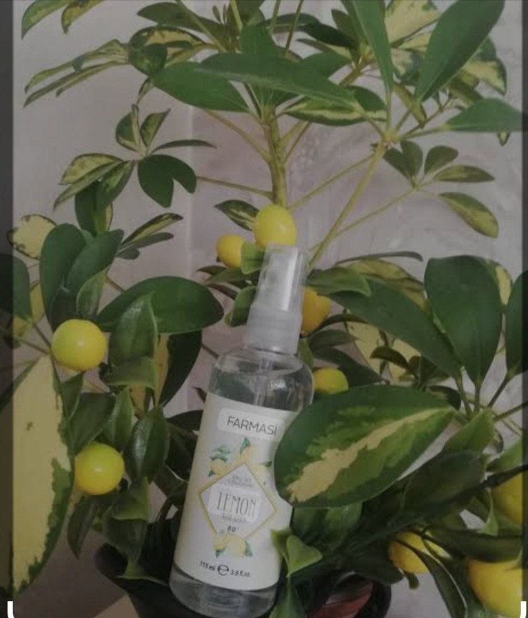 Farmasi Limon Kolonyası 115 ml - Görsel 2