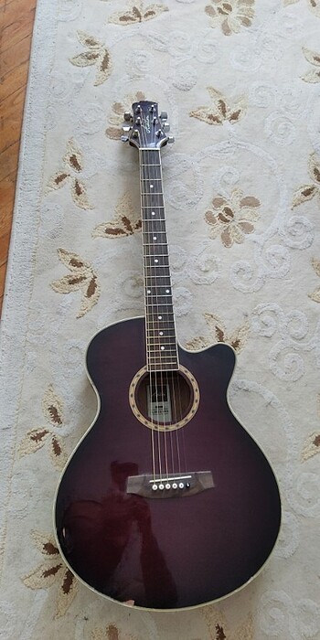 Ashton gitar