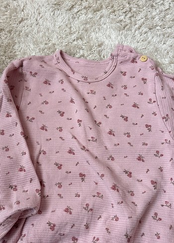 Ohlalakoala takım - Görsel 3