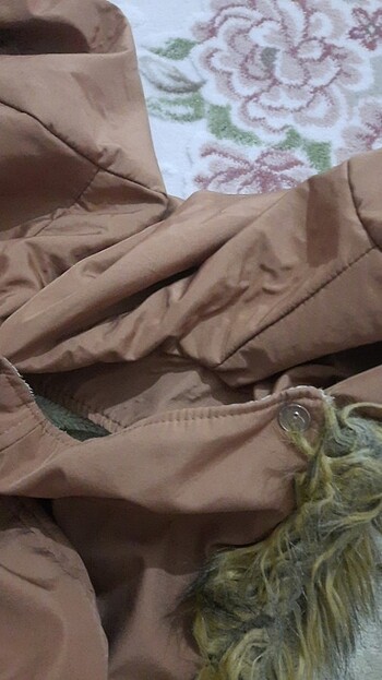 Uzun kaban - Görsel 8